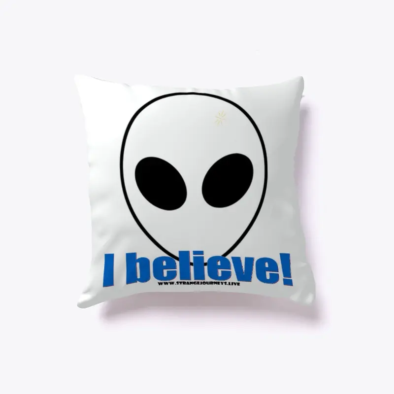 I Believe in Aliens pillow